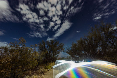 Light trails on plants against sky at night