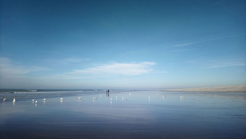 Scenic view of sea against blue sky