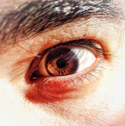 Close-up of human eye