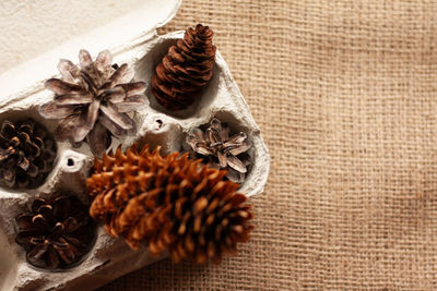 Coniferous cones in the niches of the egg box, burlap background