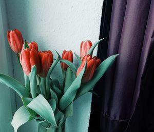 Close-up of multi colored flowers