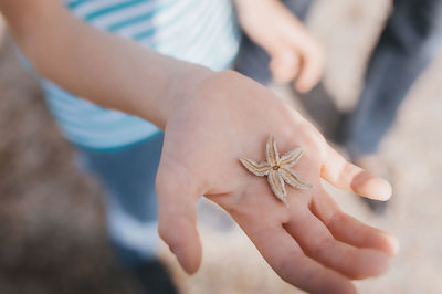 Tiny starfish in fair skin hand
