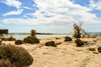 Scenic view of beach against sky