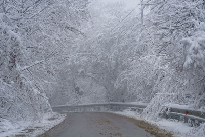 Snowy driveway and fog. mountain road in georgia trees covered by snow. winter forest after snowfall