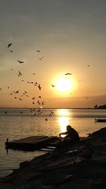 Flock of birds flying over sea during sunset