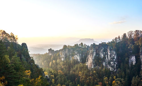 Scenic view of forest against sky during sunset