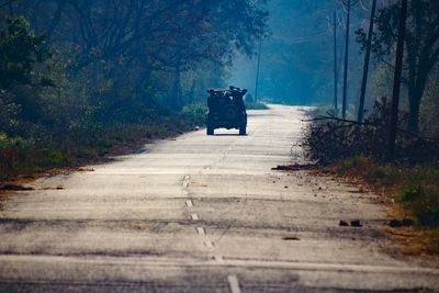 Rear view of person on road in forest