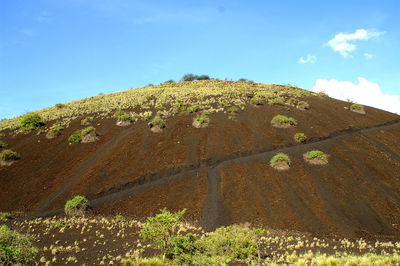 Low angle view of mountain against blue sky