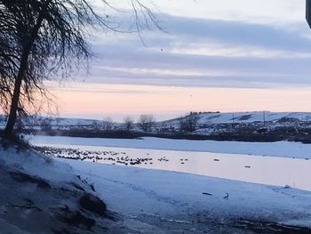 Scenic view of snow covered field against sky during sunset