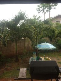 Empty plant with trees in background