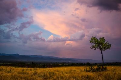 Scenic view of field against sky during sunset