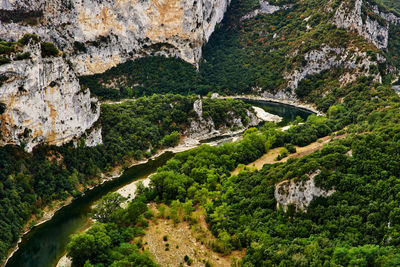 High angle view of stream amidst trees