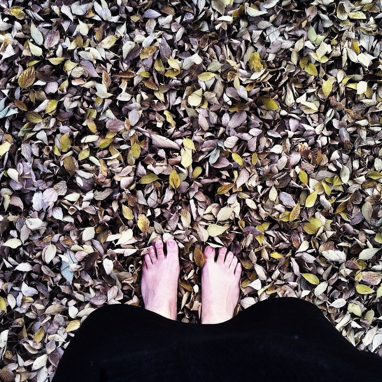 low section, personal perspective, person, shoe, high angle view, part of, outdoors, stone - object, unrecognizable person, leaf, day, human foot, lifestyles, standing, close-up, nature, footwear