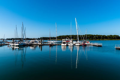 Sailboats moored in harbor