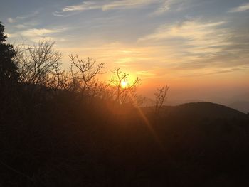 Scenic view of tree against sky during sunset