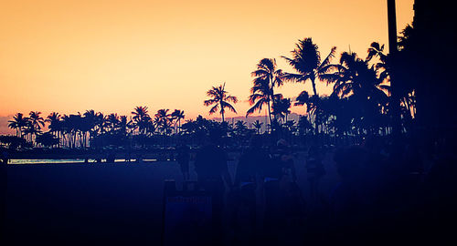 Silhouette trees against sky during sunset