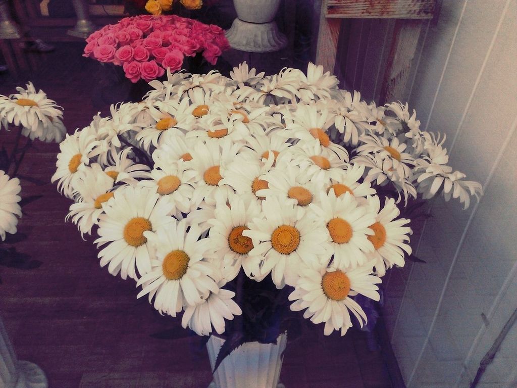 flower, indoors, freshness, petal, fragility, vase, flower head, bouquet, high angle view, table, flower arrangement, bunch of flowers, beauty in nature, white color, home interior, potted plant, decoration, plant, nature, wood - material