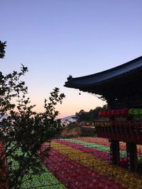 Scenic view of trees against clear sky during sunset