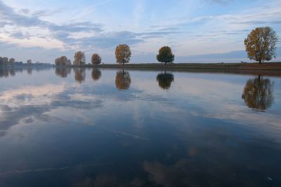 Reflection of trees in water