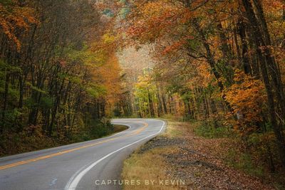 Empty road amidst trees during autumn