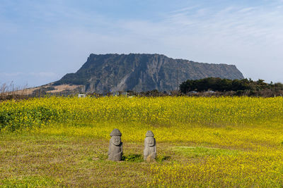 Scenic view of field against sky