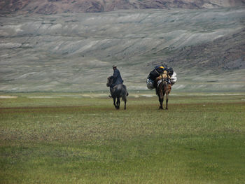 Rear view of man riding horse with camel on grass towards mountain