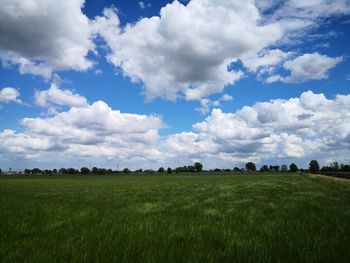 Scenic view of field against sky