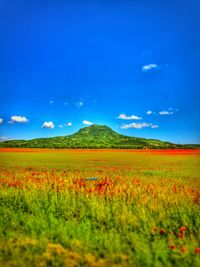 Scenic view of field against cloudy sky