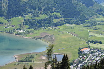 High angle view of trees on field