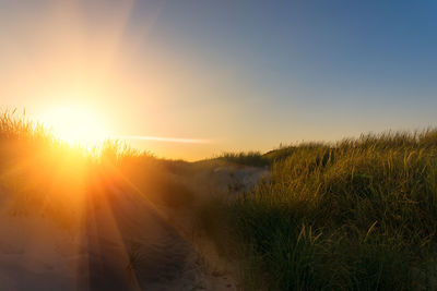 North sea coast