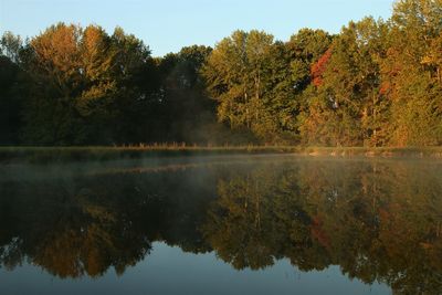 Scenic view of lake in forest during autumn