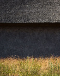 Thatched roof on building