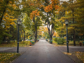 Rainy autumn season morning in the empty city park. beautiful view and silence, colorful leaves