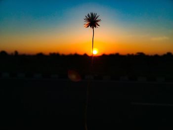 Close-up of silhouette trees against sky at sunset