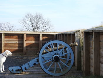 View of a horse cart