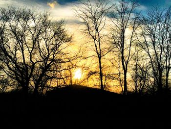 Silhouette of bare trees at sunset