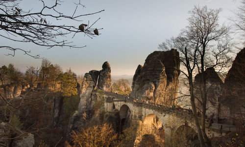 Low angle view of bare trees and buildings against sky