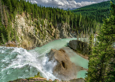 Scenic view of waterfall in forest