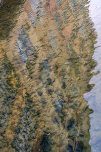 High angle view of lake shore