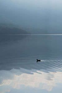 Foggy morning at loch lomond