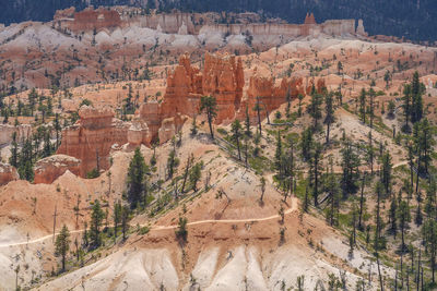 Panoramic view of landscape