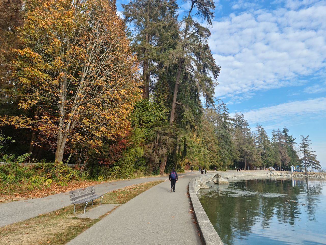 tree, plant, water, nature, transportation, sky, day, beauty in nature, autumn, river, waterway, leisure activity, footpath, men, full length, walking, lifestyles, road, adult, outdoors, scenics - nature, women, tranquility, rear view, two people, the way forward, growth, travel, leaf, tranquil scene, sunlight, cloud, park, land, travel destinations, non-urban scene