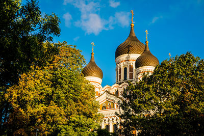 Low angle view of trees and building against blue sky