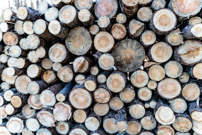 Full frame shot of logs in forest