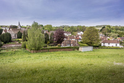 Trees and houses on field against sky