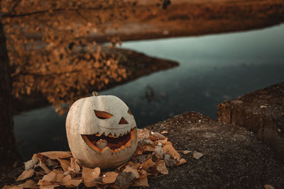 Close-up of pumpkin on rocks by water