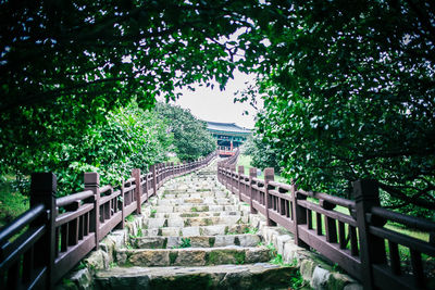 Walkway leading to building