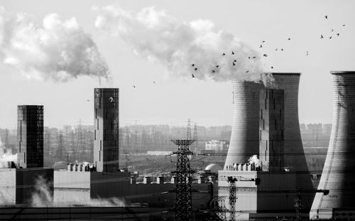 A flock of birds flying through smoke emitted by industrial smokestacks