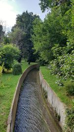 Scenic view of canal amidst trees against sky