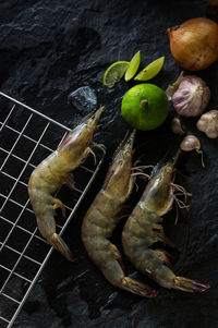Directly above shot of shrimps with food and cooling rack on stone